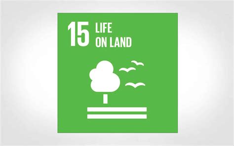 Sdg Goal 15 Life On Land Impossible Metals