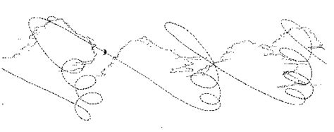 How Birds Fly An In Depth Journey North Lesson