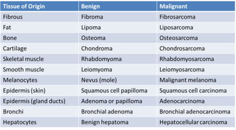 8-Neoplasia Pt. 1 Flashcards | Quizlet