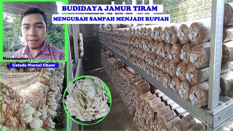 Budidaya Jamur Tiram Mengubah Sampah Menjadi Rupiah YouTube