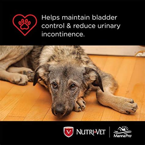 Nutri Vet Bladder Control Supplement For Dogs Reduce Dog Urinary