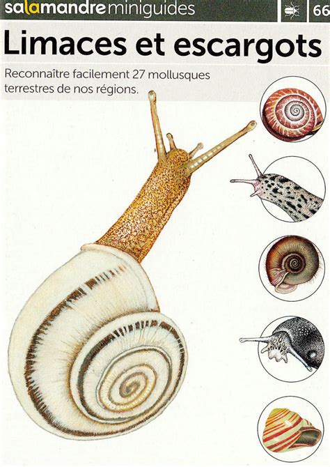 Miniguide 66 Limaces et escargots e Librairie Forêt Nature Salamandre