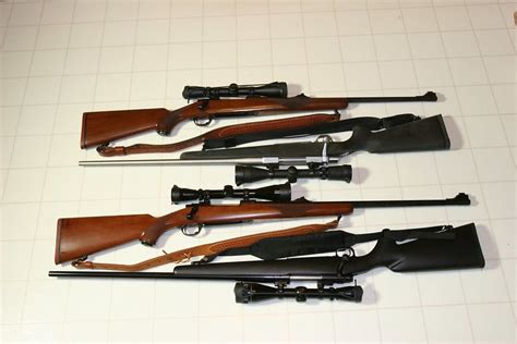 {the 7} Best Ruger Mini 14 And Mini 30 Models [january Tested]