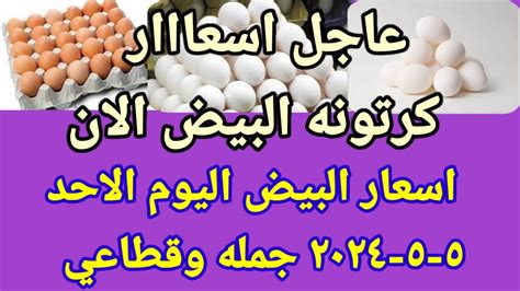 سعر البيض اسعار البيض اليوم الاحد 5 5 2024 جمله وقطاعي فى مصر Youtube