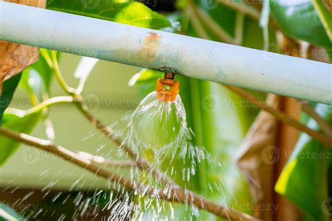 Syst Me D Irrigation D Eau Par Aspersion De Jardin Photo De