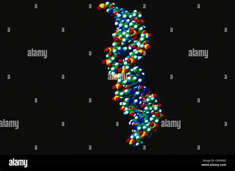 Dna Fingerprinting India Hi Res Stock Photography And Images Alamy