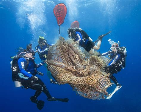 Vencedores Do Concurso De Fotografia Do Dia Mundial Dos Oceanos Da ONU