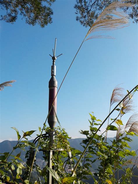 identification - Help identifying this short, red antenna-like(?) structure - Electrical ...