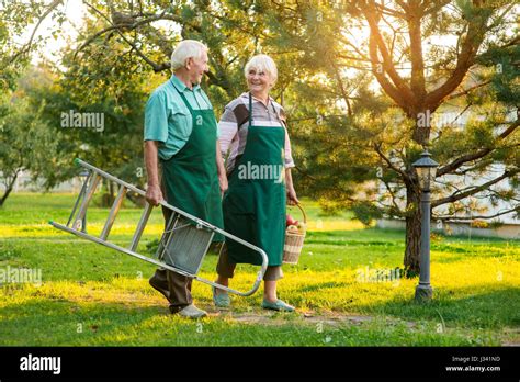 Happy old couple holding hands Stock Photo - Alamy