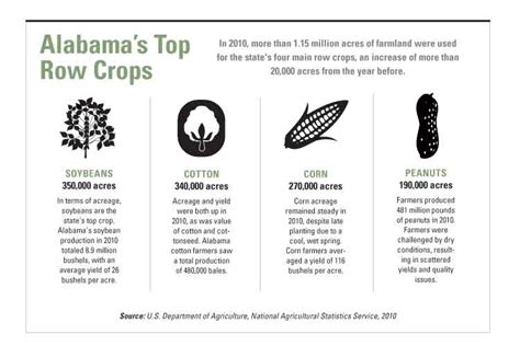 Peanut Crop Rotation Benefits Cotton and Alabama Economy - Farm Flavor