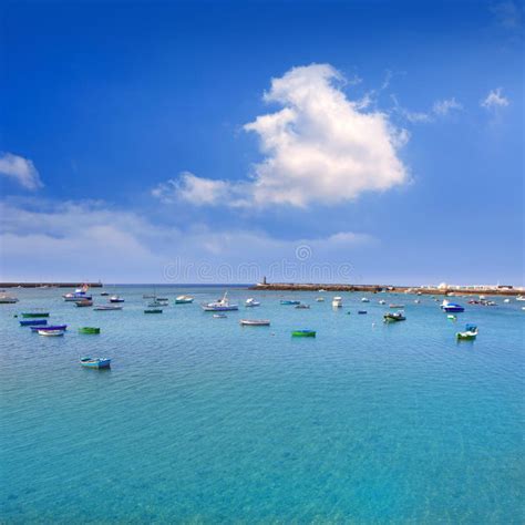 Arrecife Lanzarote Playa Reducto Beach Palm Trees Stock Image Image