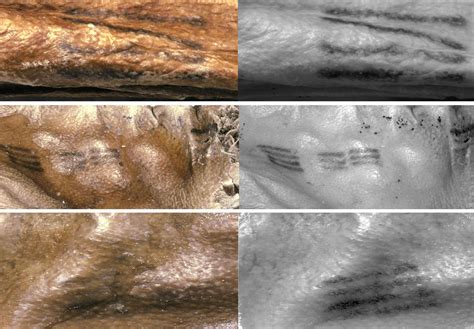 Ötzi The Iceman's Tattoos: What The Oldest Tattoos Ever Discovered ...