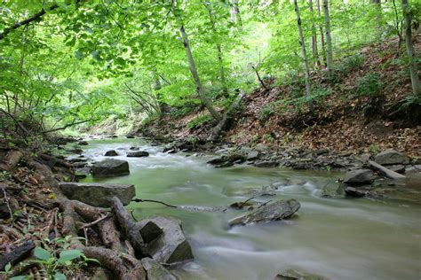 creek pictures wallpaperscom