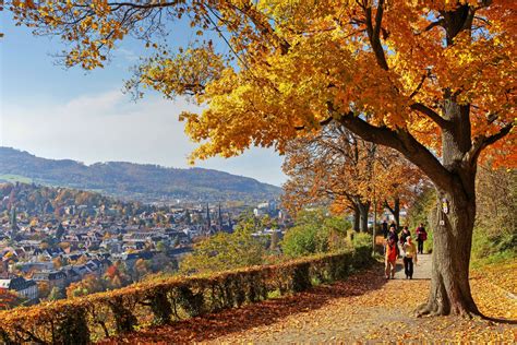 Top 6 Places To See Autumn Leaves In Germany