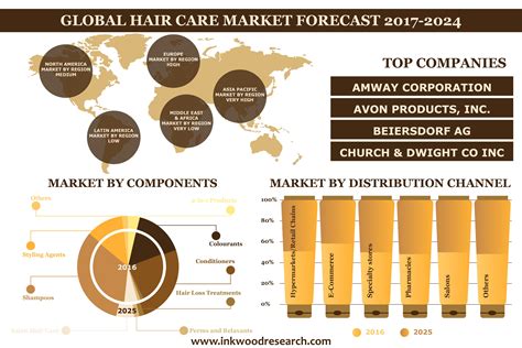 Hair Care Market Global Trends Size Share Forecast 2017 2024