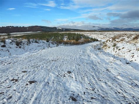 View From The End Of A Forestry Track © Lairich Rig Cc By Sa 2 0 Geograph Britain And Ireland