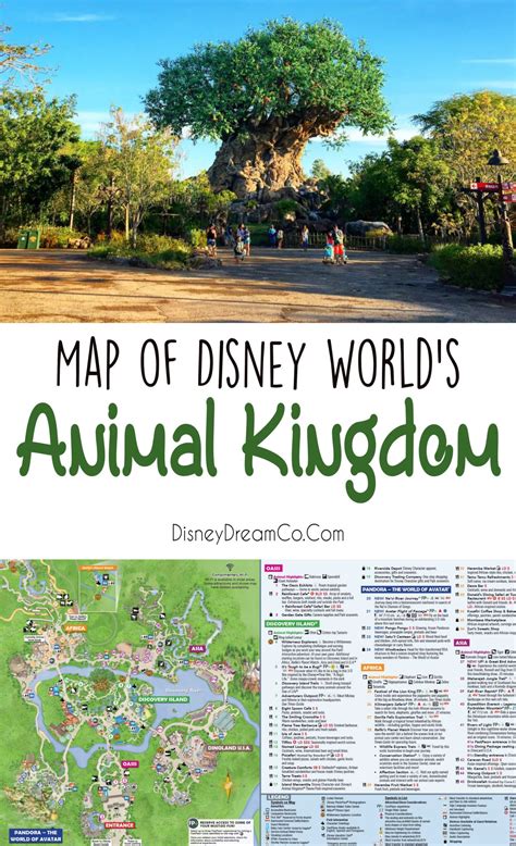 Animal Kingdom Map: Walt Disney World - Disney Dream Co