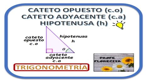 ¿cÓmo Identificar El Cateto Opuesto Cateto Adyacente Y La Hipotenusa