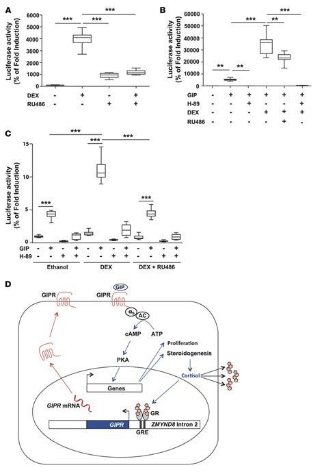 Functional Analysis Of Zinc Finger And Mynd Myeloid Nervy And