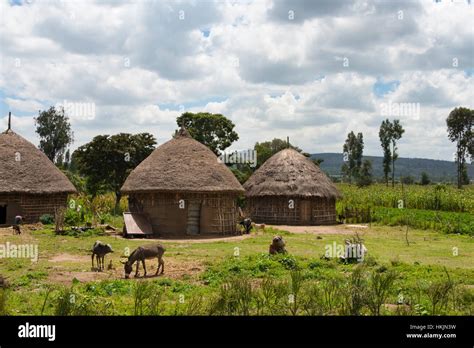 Traditional Houses With Thatched Roof Ethiopia Stock Photo Alamy