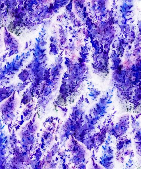 Watercolor Purple Lavender Pattern Patternscorner Paintings