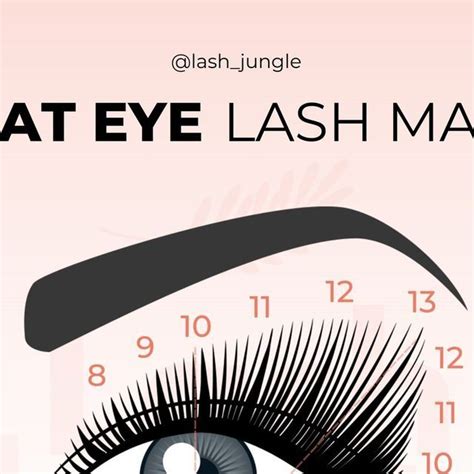 Lash Jungle Professional Lash Supplies On Instagram Let S Talk About