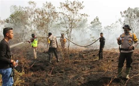 Karhutla Kembali Terjadi Di Dumai Dan Bengkalis Ski Nusantara Post