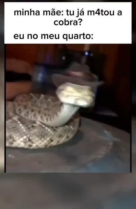 Quem Matou A Cobra Mostra O Pau Meme By Detudoamigo Memedroid