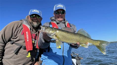 Find Walleye Here On Lakes With Cisco And Whitefish Virtual Angling