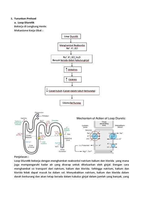 Mekanisme Kerja Loop Diuretik Dan Mr Antagonis Dalam Mengurangi Edema