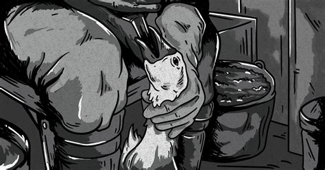 Help Bring an End to Foie Gras Cruelty - Animal Outlook