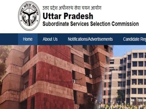 Upsssc Allahabad High Court Directs To Fill The Vacant Vdo Posts Of