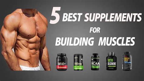 5 Best Supplements To Build Muscles Faster For Skinny Guys HEALTH