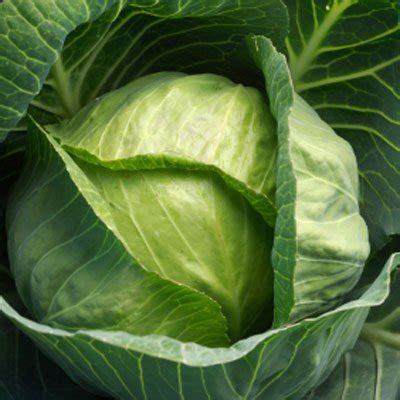 Продукты для похудения