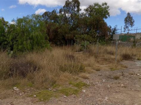 Venta Lote De Terreno En El Venado Mineral De La Reforma Mineral De