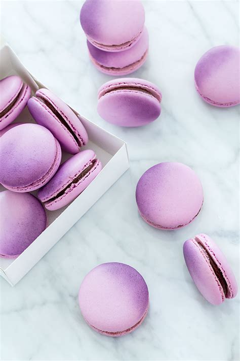 9 Best Macaron Painting Tutorials