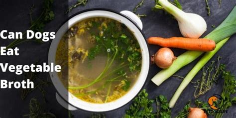 Can Dogs Eat Vegetable Broth How Much Is Better For Dogs Pet Dogs Life