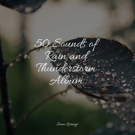 Sounds Of Rain And Thunderstorm Album Album By Academia De M Sica