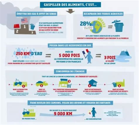 Fiche décryptage Le gaspillage alimentaire