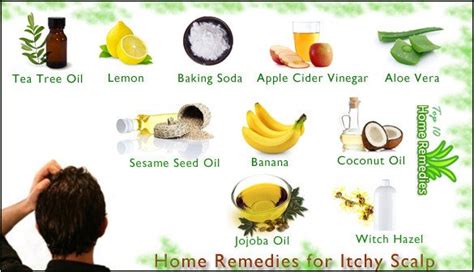 Home Remedies For Itchy Scalp Top 10 Home Remedies