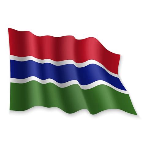 3D Realista Ondeando La Bandera De Gambia Sobre Fondo Blanco Vector