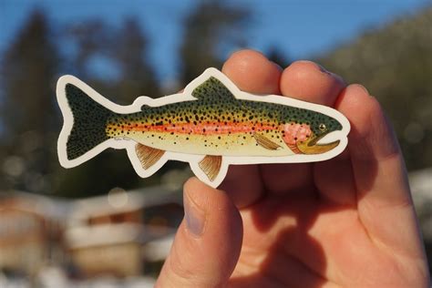 Rainbow Trout Sticker Alaska Fly Fish Water Bottle Decal Etsy