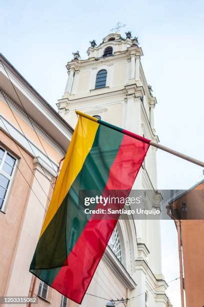 497 Lithuanian Independence Day Stock Photos, High-Res Pictures, and ...