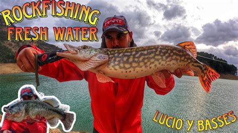 Fresh Water Lucio Y Basses Con El Equipo De Rockfishing Hart Manolo