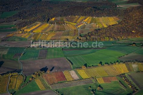 Donnersdorf Aus Der Vogelperspektive Herbstluftbild Weinbergs