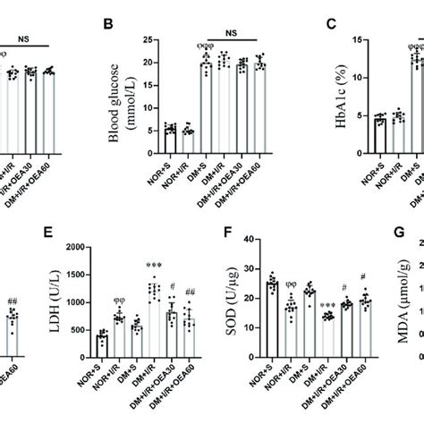 Oea Activated The Pi3kakt Signaling Pathway And Downregulated The Download Scientific Diagram