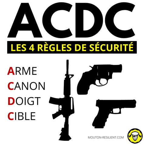 Les 4 règles de sécurité avec armes à feu Mouton Résilient