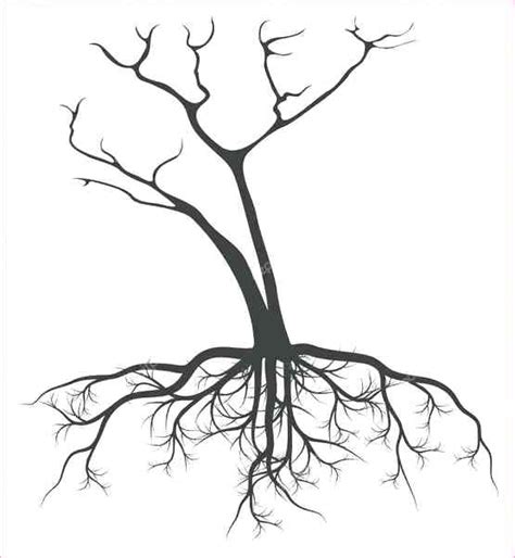 Tree And Roots Drawing At Explore Collection Of