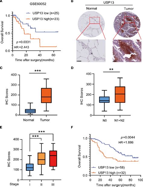 Figure From The Deubiquitinase Usp Maintains Cancer Cell Stemness