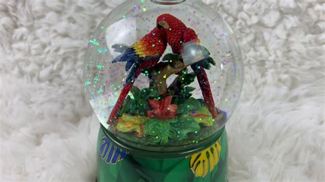 Twinkle Collectibles Musical Parrot Snow Globe Youtube